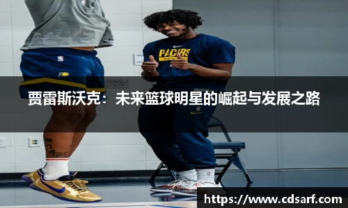 彩神VI首页官网