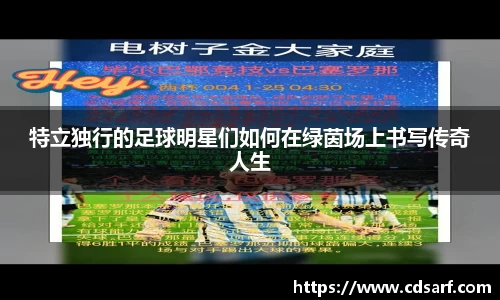 彩神VI首页官网