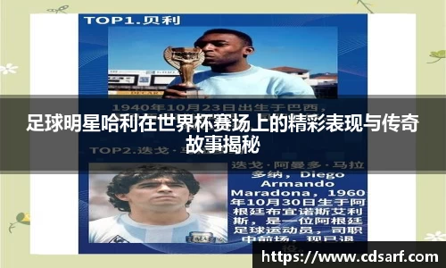 彩神VI首页官网